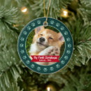 Search for green christmas tree decorations Pet