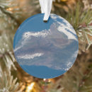 Search for idyllic christmas tree decorations Space