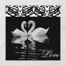 Search for black swan invitations Classic