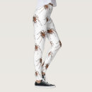 Search for itsy bitsy spider Insects