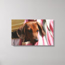 Search for handbag art Dog