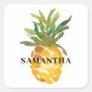 Search for pineapple stickers Cute