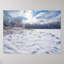 Search for cold season posters Forest