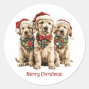 Search for yellow lab puppy stickers Merry christmas