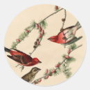 Search for audubon birds stickers John james audubon