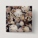 Search for shells badges Sand