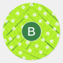 Search for banana leaf stickers Green