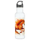 Search for new year water bottles Zodiac