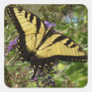 Search for swallowtail butterfly stickers Photography