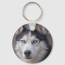 Search for siberian husky key rings Winter