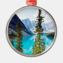 Search for canadian christmas tree decorations Rocky mountains