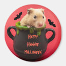 Search for hammie magnets Cute
