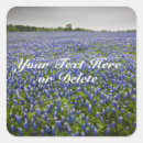 Search for texas wildflower stickers Floral