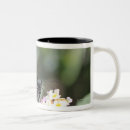 Search for tokio mugs Photography