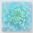 Search for dahlia flower coasters Floral