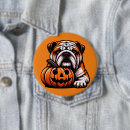 Search for lantern festival badges Autumn