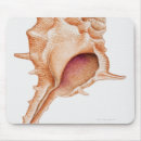 Search for creatures standard mouse mats Sealife