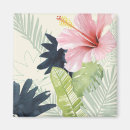Search for tropical magnets Floral
