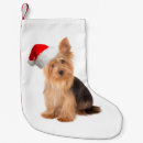 Search for yorkies christmas stockings Yorkshire
