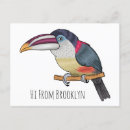 Search for curl postcards Bird