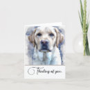 Search for labrador note cards Pets