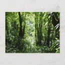 Search for rain forest horizontal postcards Tropical