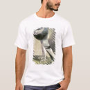 Search for ornithology Crt