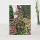 Search for forest green christmas cards Woods