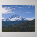 Search for panoramic posters Forest