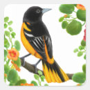 Search for baltimore stickers Birds