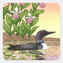 Search for loon bird stickers Waterfowl