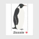 Search for penguin illustration stickers Wildlife