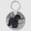 Search for blizzard key rings Animal