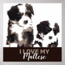 Search for black and white dog posters Puppy