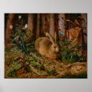 Search for wildlife posters Rabbit