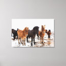 Search for coat canvas prints Europe