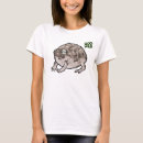 Search for desert rain frog Amphibian