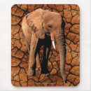 Search for tusks mouse mats Mammal