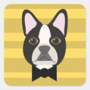 Search for boston terriers stickers Black and white