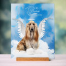 Search for afghans posters Hounds