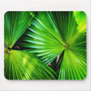 Search for sunlight mouse mats Green