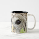 Search for barred owl mugs Brown
