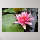 Search for lilly posters Nature
