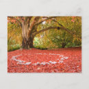 Search for fall fairy postcards Autumn