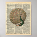 Search for peacock art Bird