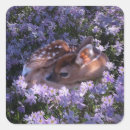 Search for baby deer fawn stickers Wildlife