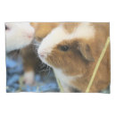 Search for pig pillowcases Pets