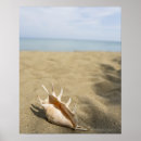 Search for sandy posters Vertical
