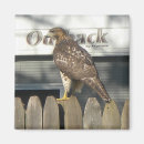 Search for hawking magnets Hunter