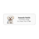 Search for bichon frise return address labels Cute